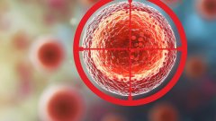 Jazz Pharmaceuticals покупает Chimerix