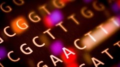 Omega Therapeutics продемонстрировала потенциал новой модели противораковых лекарств
