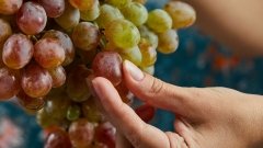 Виноград покращує захист шкіри