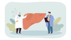 Неалкогольная жировая болезнь печени – нужны ли гепатопротекторы? /freepik