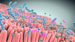 Nestlé делает ставку на пробиотик Seres Therapeutics