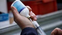 Столичная прокуратура разоблачила схему махинаций с ветпрепаратами