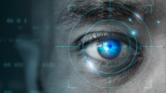 Біометрия сітчатки /freepik