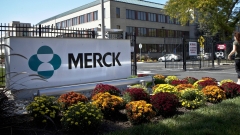 Серии загадочных Cubist: Merck намерена повысить свои доходы с помощью антибиотиков
