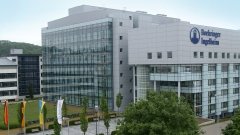 Boehringer Ingelheim рассматривает варианты продажи дженерикового подразделения Roxane