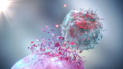 Candel Therapeutics получила орфанный статус для препарата от рака поджелудочной железы