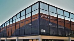 FDA рассмотрит противовирусный препарат Atara Biotherapeutics в приоритетном порядке