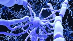 Вчені знайшли можливість відновити мієлін