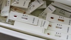 Тесты на антитела к коронавирусу наконец появились в аптеках
