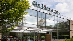Galapagos планирует разделиться на две части