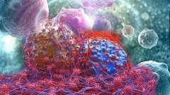 Живі ліки: як дресирують бактерії для боротьби з раком