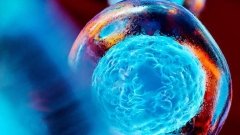 Инновации в лечении инсулинозависимого диабета. В фокусе – имплантат Sernova