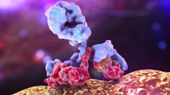 iTeos Therapeutics добилась успеха с антителом против TIGIT