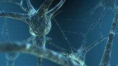 Newron Pharmaceuticals збирається зареєструвати новий препарат для лікування резистентної шизофренії