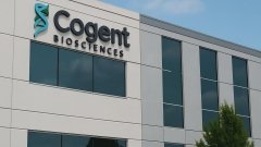 Cogent Biosciences поведала о новых успехах безукластиниба