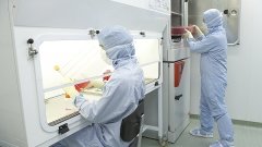 Система здравоохранения Украины требует улучшения состояния лабораторной службы, – коммерческий директор «Синэво Украина»