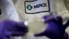 Merck перевірила енліцитід в реєстраційних дослідженнях