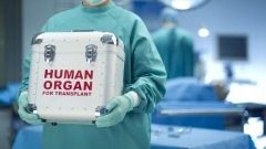 Законопроект о трансплантации органов сможет ежегодно спасать более 2000 человек, – нардеп Валерий Дубиль