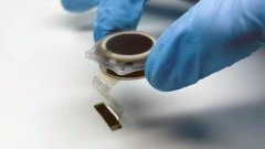 Neuralink собрала средства для дальнейшего развития мозговых имплантатов