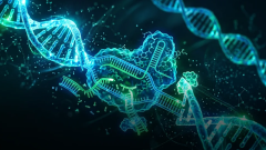 Telomir Pharmaceuticals розраховує схвалити епігенетичний препарат при агресивному раку яєчників