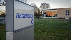 Regeneron кооперируется с Tessera Therapeutics