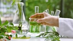 Рецепты из аптечки для грядки: 7 препаратов, которые работают не только в медицине