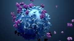 AbbVie наняла Xilio Therapeutics для разработки новейших онкопрепаратов