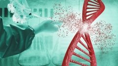 Neurogene відновить випробування препарату проти синдрому Ретта після смерті пацієнтки