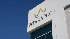 FDA отказало Atara Bio в одобрении Ebvallo