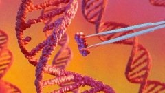 Verve Therapeutics впроваджує «ювелірне» редагування геному в кардіологію