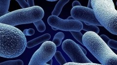 Boehringer Ingelheim и Google Pioneer внедрят квантовые вычисления в фармацевтические исследования