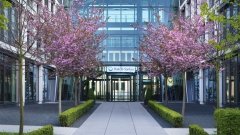 Daiichi Sankyo займется маркетингом препарата Movantik компании AstraZeneca в США
