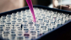 Astellas лицензировала в Sangamo кандидата для лечения неврологических заболеваний