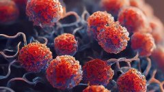 CAR-T in vivo от Kelonia Therapeutics устранил признаки минимальной остаточной болезни у пациентов с рефрактерной миеломой