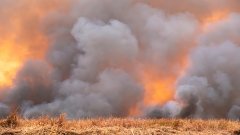 Дим лісових пожеж як прихована загроза: оприлюднено нові дані про ризик онкологічних захворювань