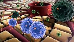 AVEO и Merck KGaA приступили к изучению нового комбо от рака