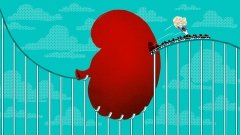 Нефролитиаз. Виды почечных камней и варианты их лечения