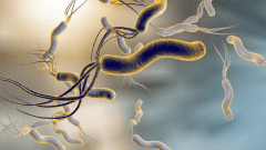 Helicobacter pylori: новые подходы к лечению в руководстве Американской коллегии гастроэнтерологии