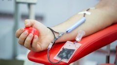В Раде хотят ускорить рассмотрение законопроекта о штрафах и контроле в сфере донорства крови