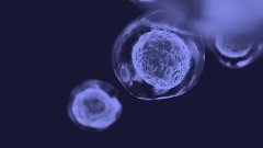 Imvax планирует лечить агрессивный рак мозга препаратом клеточной терапии