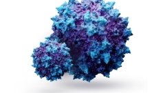 Vertex Pharmaceuticals відмовиться від вірусних векторів в препаратах генотерапії