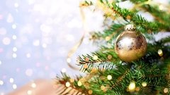 10 новогодних опасностей: как не испортить себе праздник болезнью или травмой