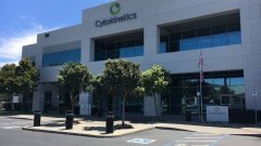 Cytokinetics в очередной раз потерпела поражение в борьбе с БАС