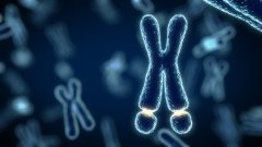 Kaerus Bioscience успішно запустила клінічну розробку препарату проти синдрому ламкої Х-хромосоми