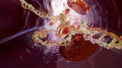 Препарат Pfizer \ Sangamo продемонстрував задовільний контроль кровотеч при гемофілії