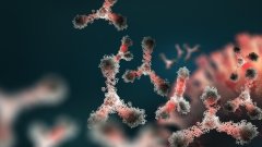 Инновационный биопрепарат демонстрирует положительные результаты при остеоартрите колена