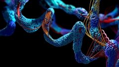 Novartis прекратила разработку онкопрепарата QEQ278