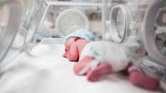 Учёные проанализировали факторы снижения смертности младенцев в Норвегии: статистика за период 2009–2020 годов&amp;nbsp;&amp;nbsp; /Українська правда