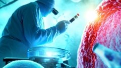 Запропоновано нову стратегію терапії аутоімунних захворювань шкіри