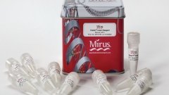 Merck KGaA выкупила Mirus Bio ради вирусных векторов
